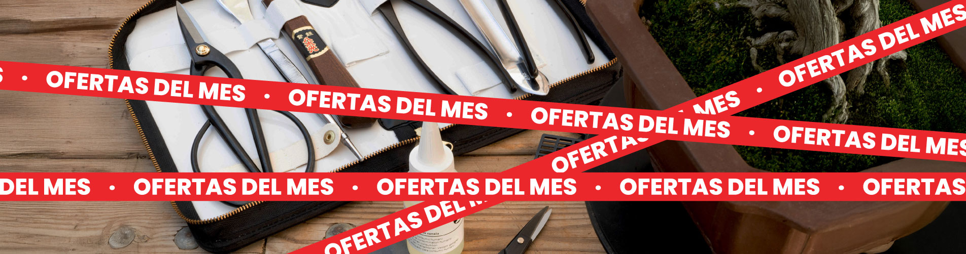 Ofertas bonsái